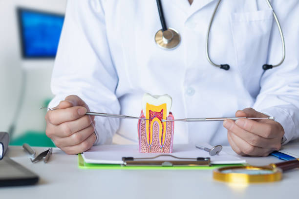 Best Pediatric Emergency Dentist in Hockinson, WA